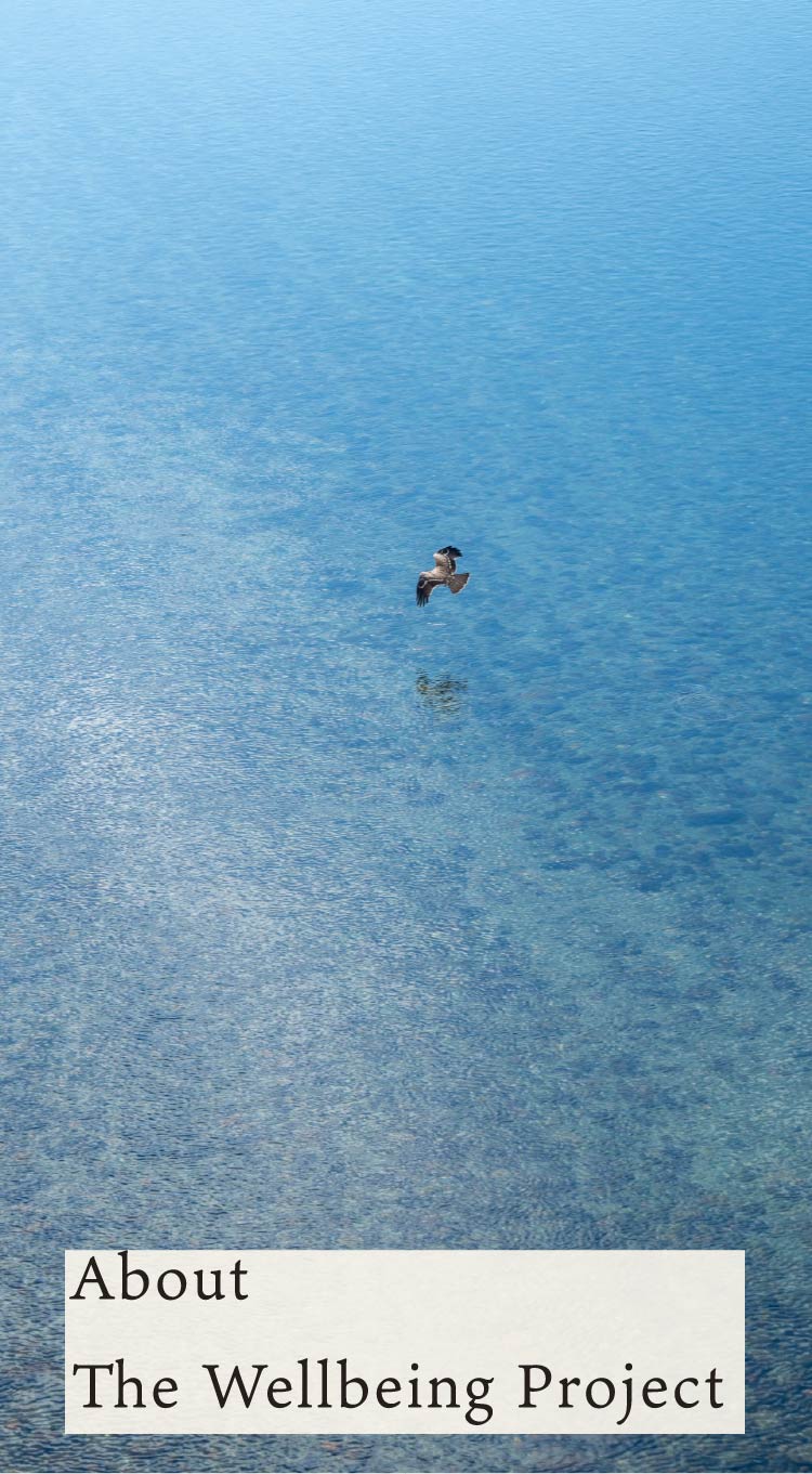 The Wellbeing Project とは