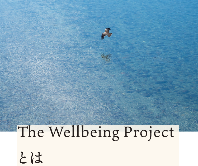 The Wellbeing Project とは