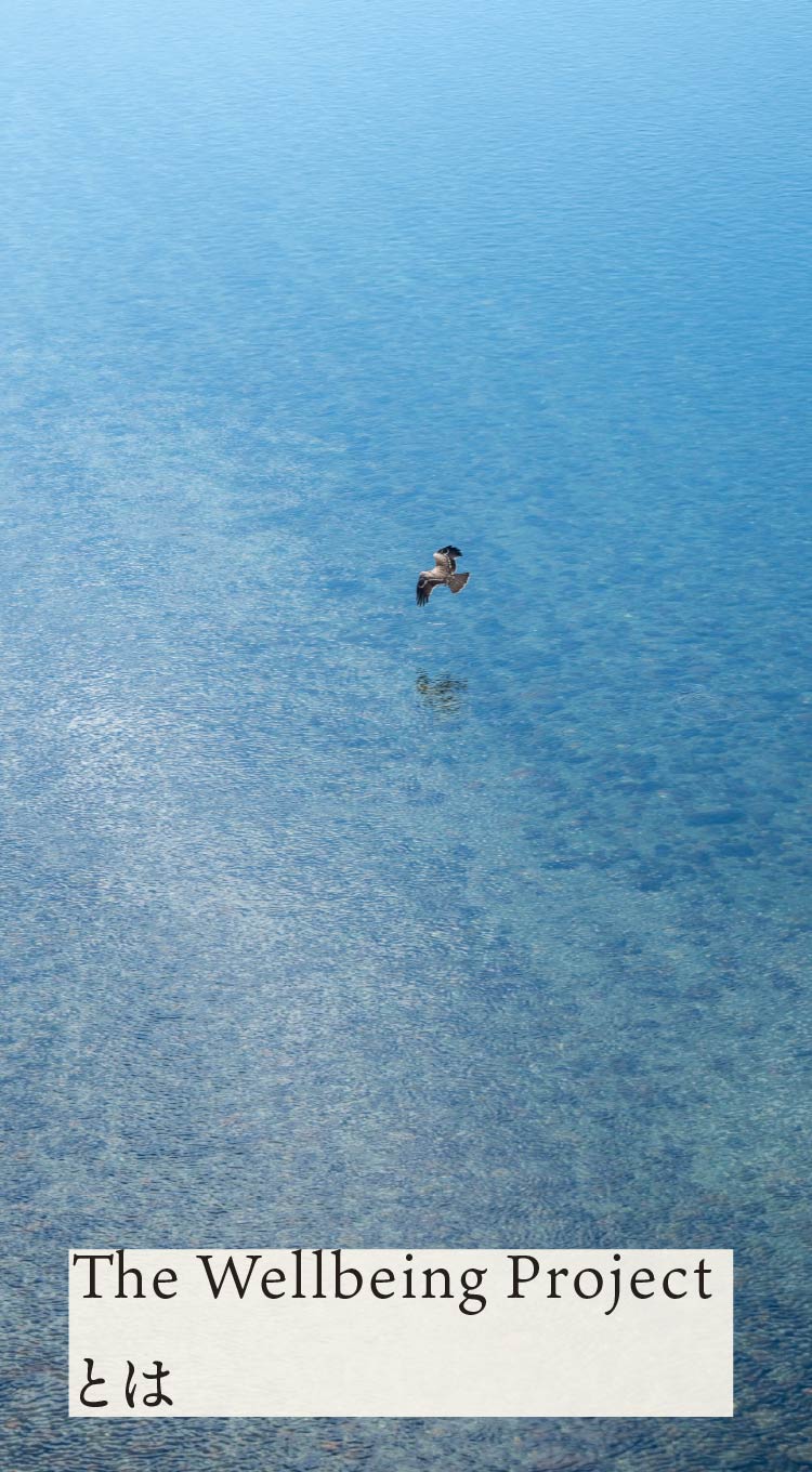 The Wellbeing Project とは